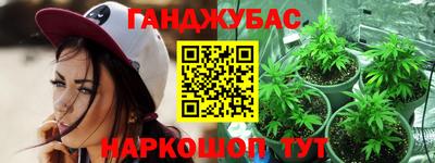 крисы Бийск