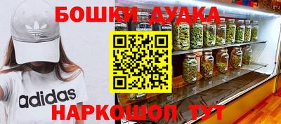 крисы Бийск