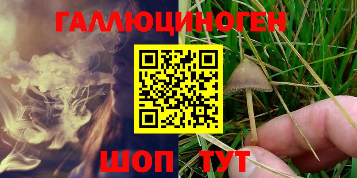 Псилоцибиновые грибы Magic Shrooms Моздок